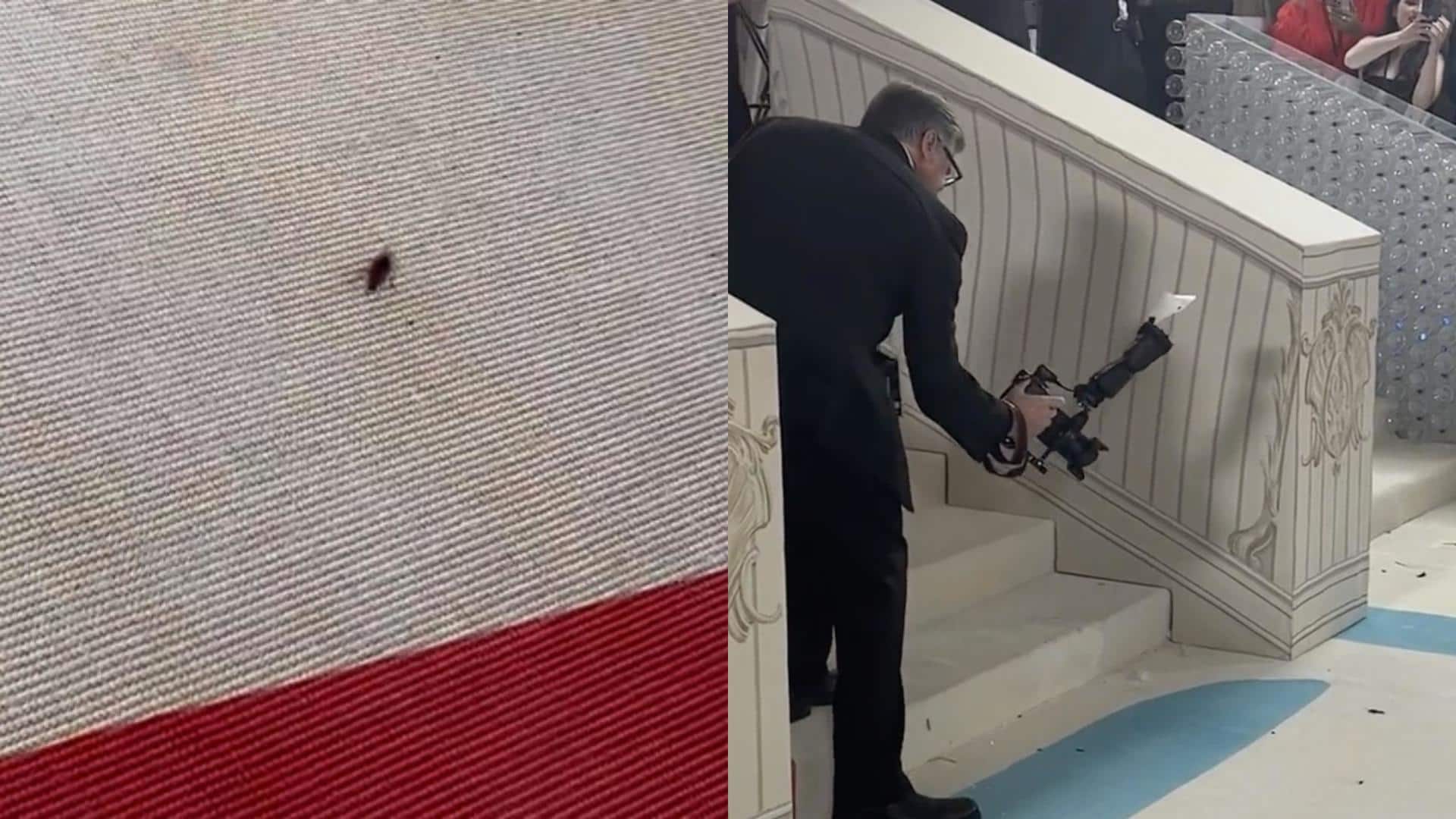 #MetGala2023: Cockroach spotted on red carpet, netizens say 'best dressed'