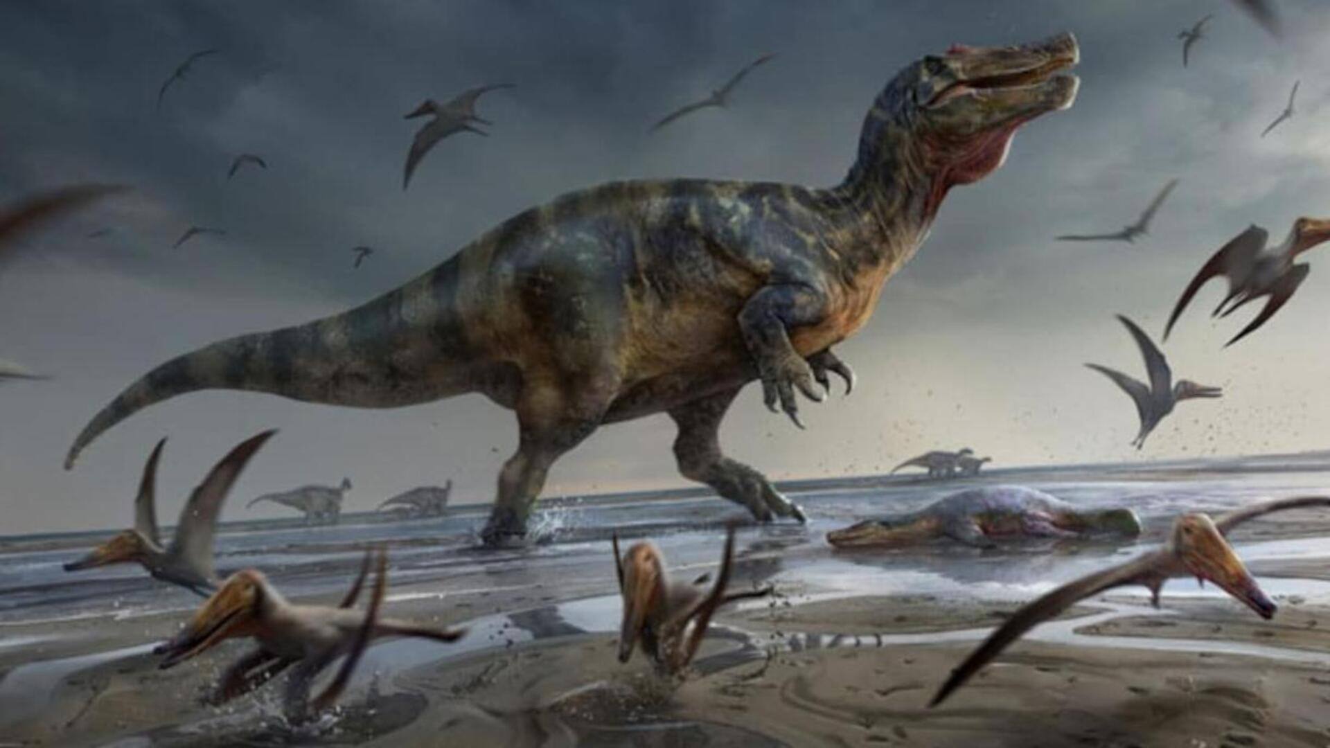 This interactive website shows dinosaurs that roamed your neighborhood