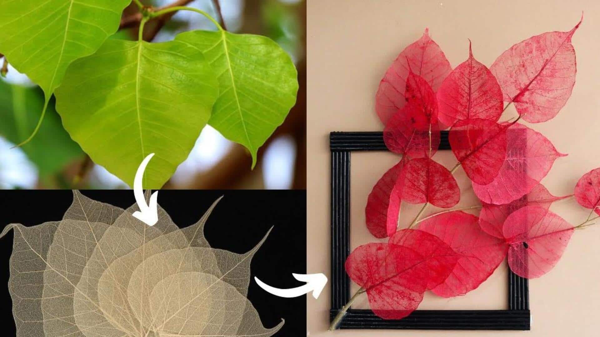 How to make wall hangings with dried leaves