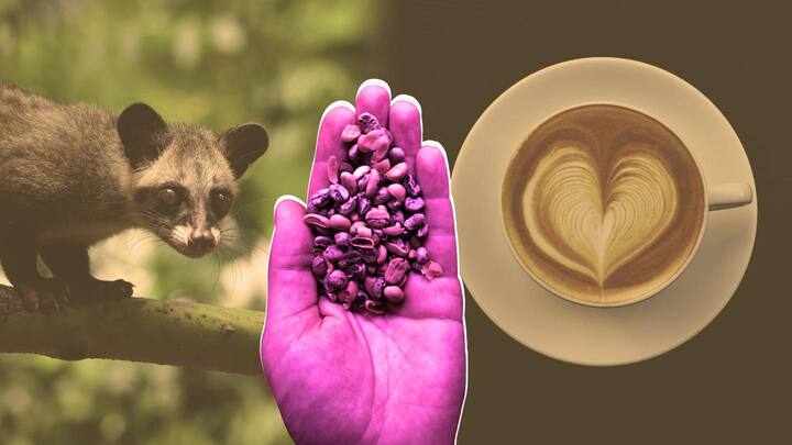 International Coffee Day 2022: 5 most bizarre coffees ever