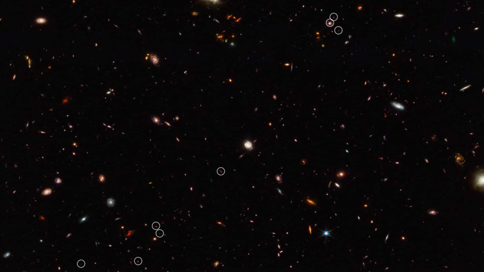 NASA's James Webb telescope discovers earliest galaxies of 'cosmic web'