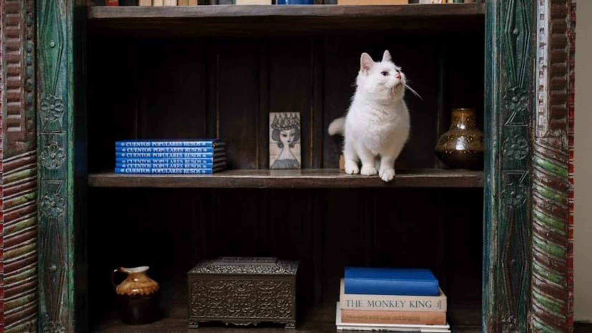 Cat lovers will love reading these books