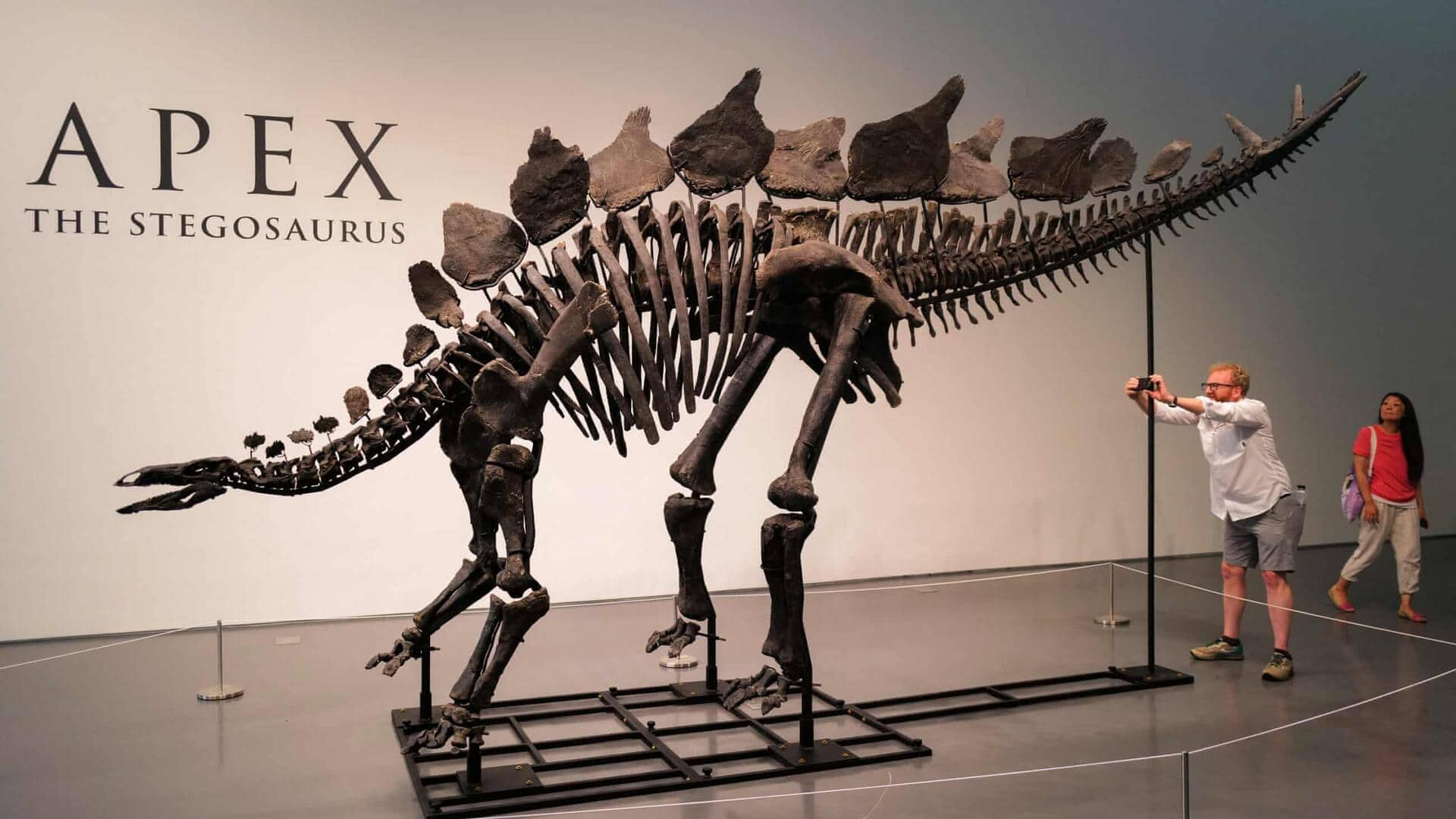 Billionaire buys plant-eating dinosaur for a whopping $45 million