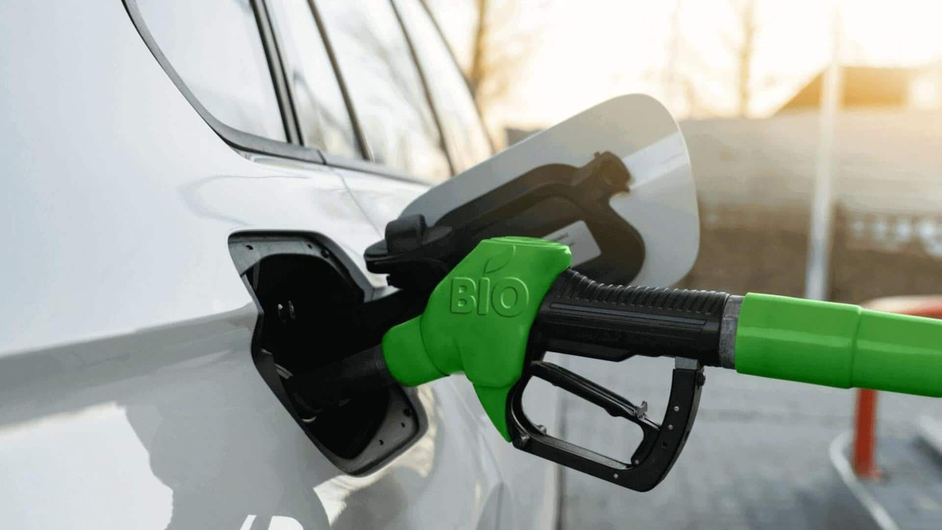 What is biofuel financing? Why should you read about it? 