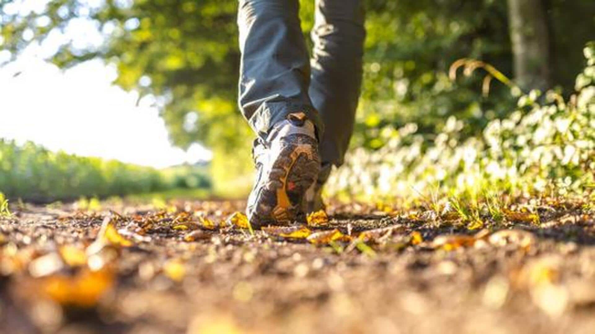 A beginner's guide to walking workouts