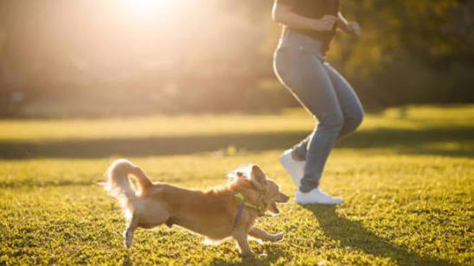 National Sports Day: 5 ways to make fitness more fun