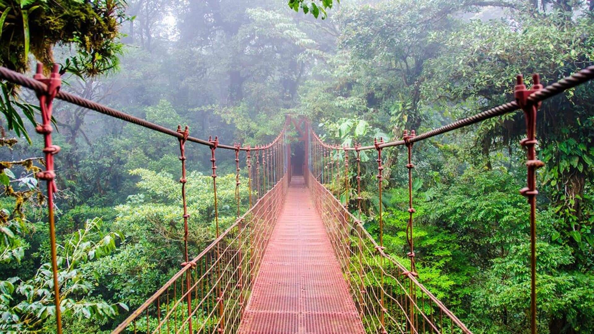 Experience the magic of Monteverde Cloud Forest, Costa Rica