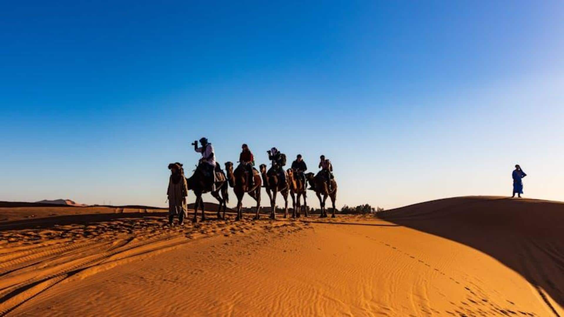 Navigating the sands: Tips for a safe camel safari