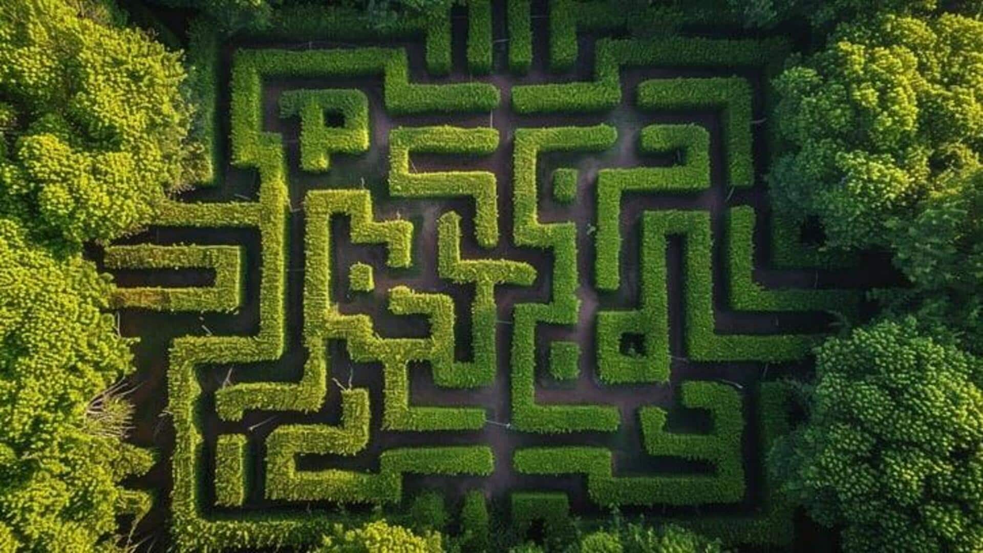 World's most stunning nature mazes: A list World's most stunning nature mazes: A list