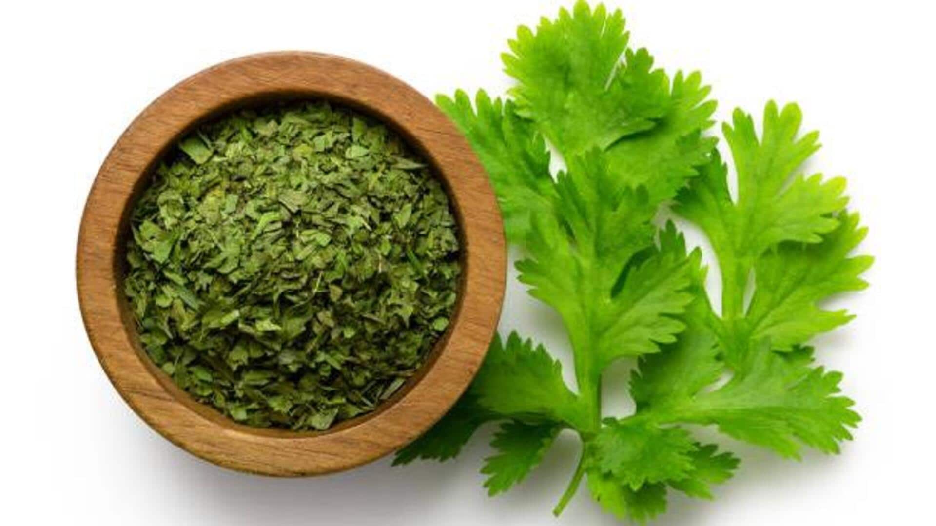 How coriander is used in traditional dishes