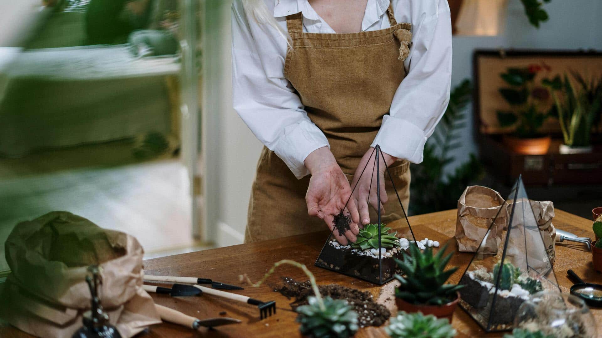 Create a lush terrarium with these simple steps