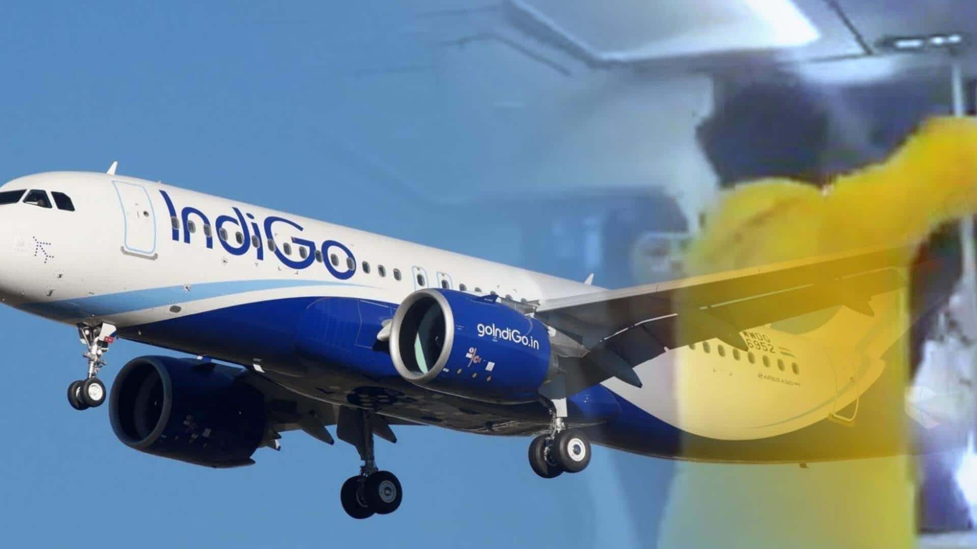IndiGo passenger detained for assaulting pilot 