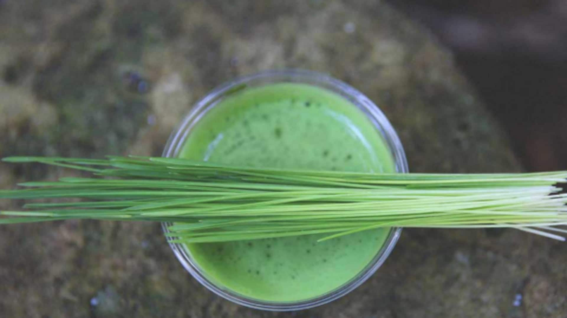 Wheatgrass wonders for hair: Natural strengthening