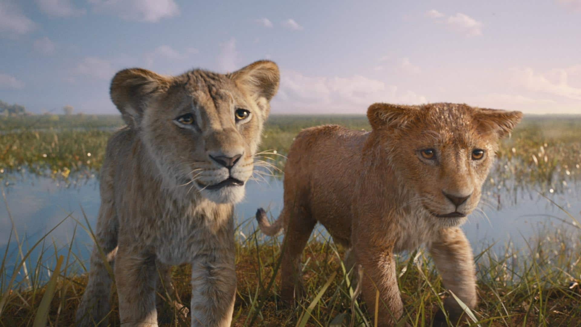 SRK-Aryan-AbRam breathe life into 'Mufasa: The Lion King' Hindi trailer