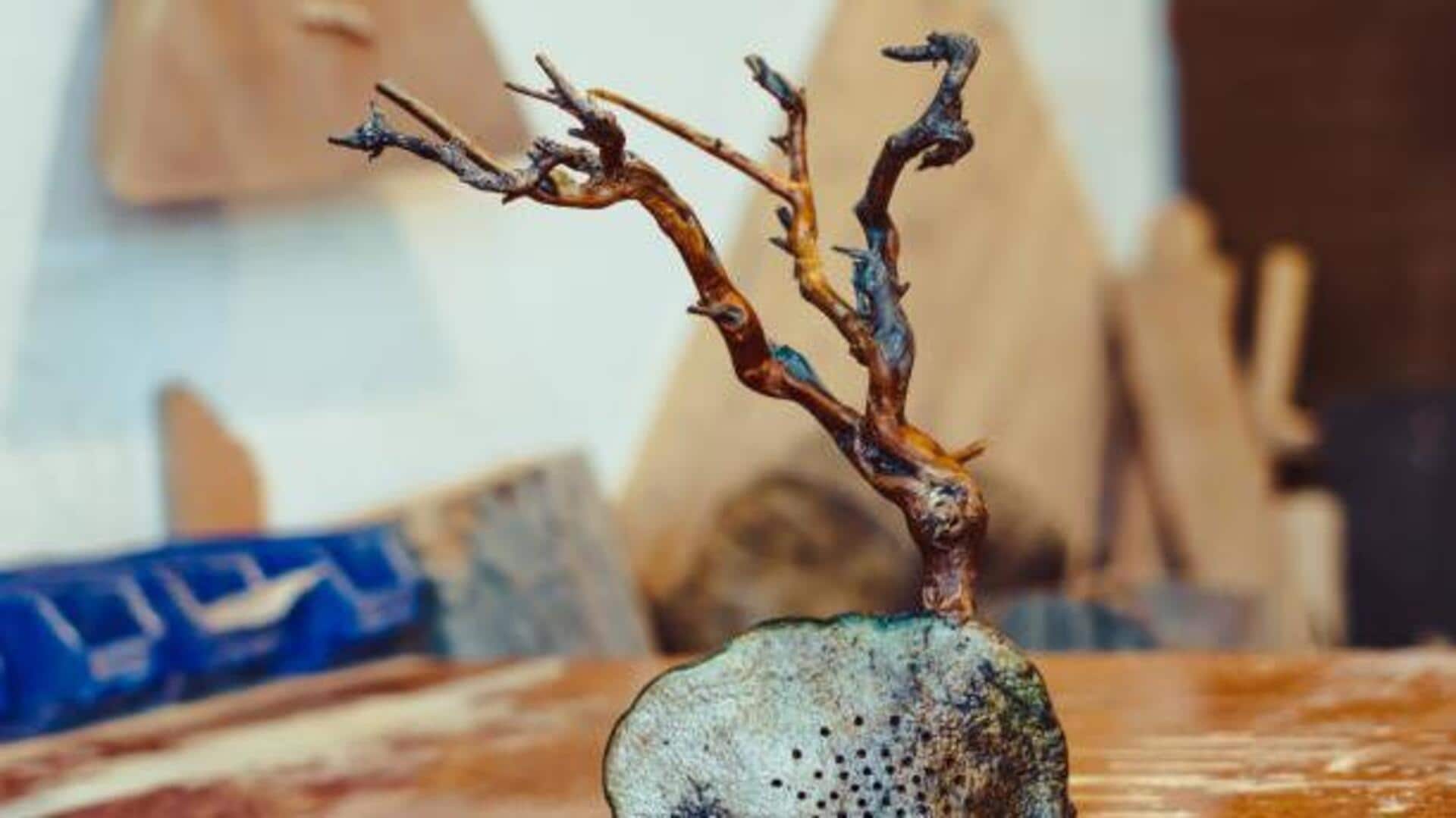 How to craft stunning sculptures from driftwood