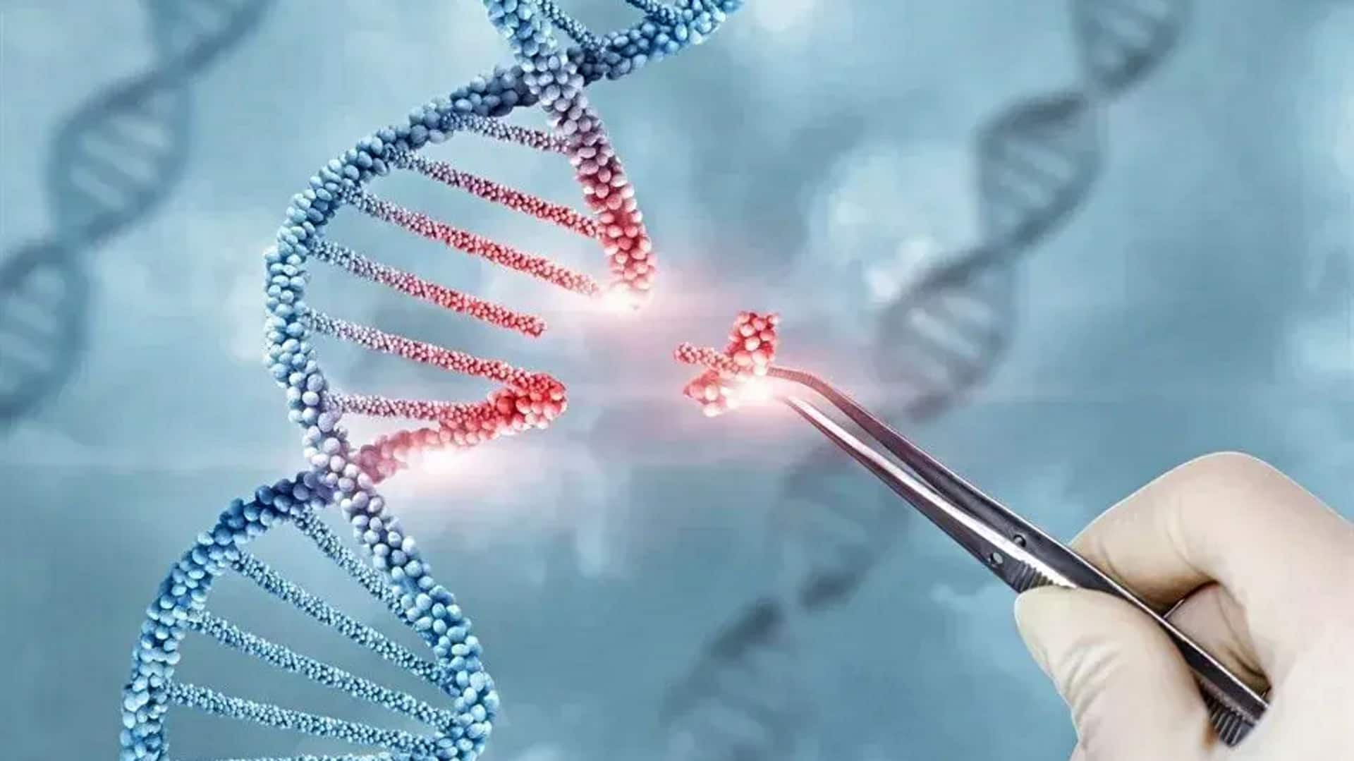 Breakthrough in genome editing offers hope for curing genetic disorders