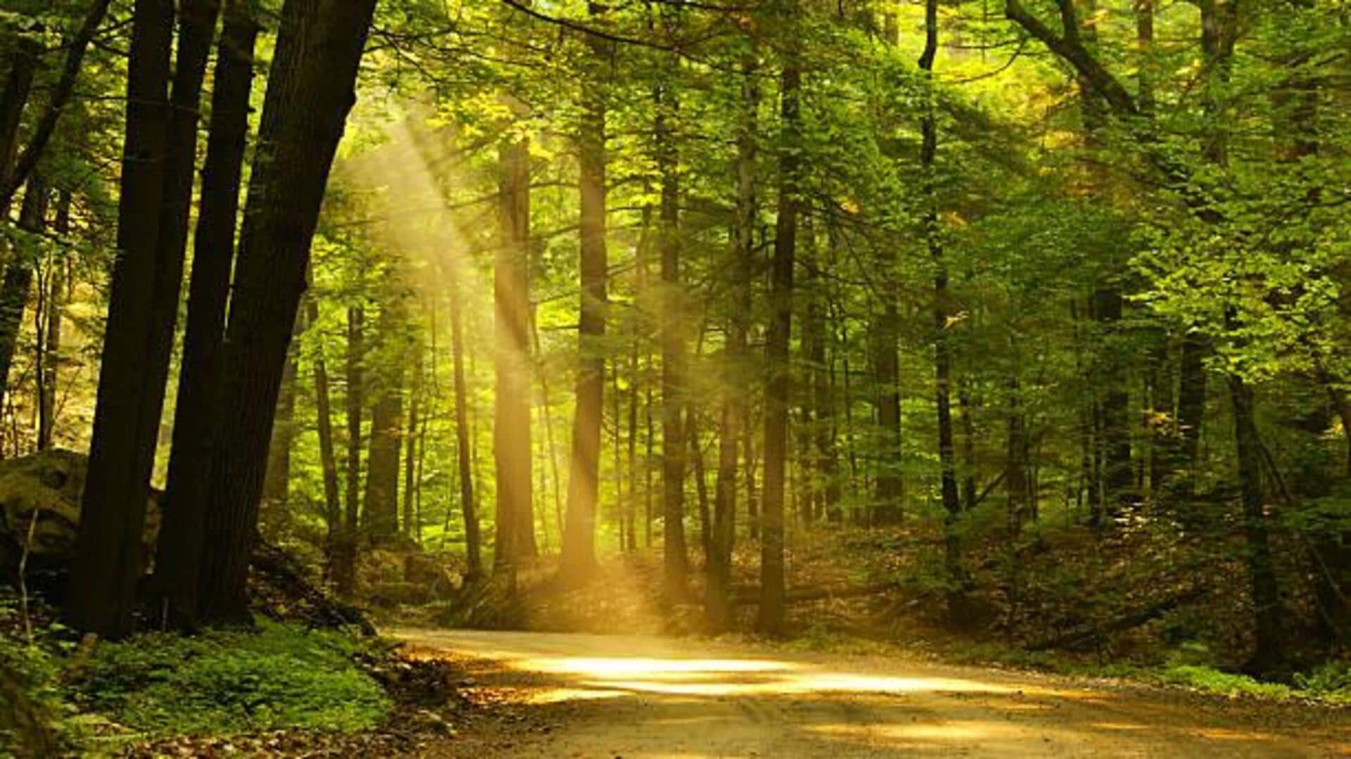 How to navigate least-visited trails: A guide How to navigate least-visited trails: A guide