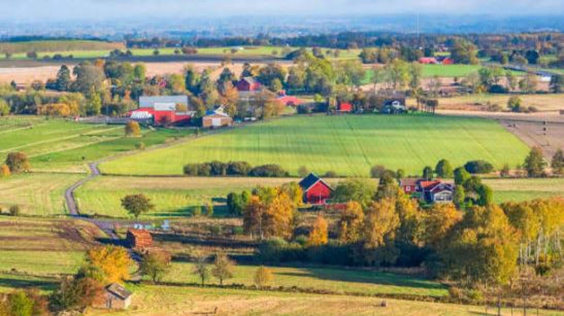 Why Sweden's countryside is perfect for sustainable living 