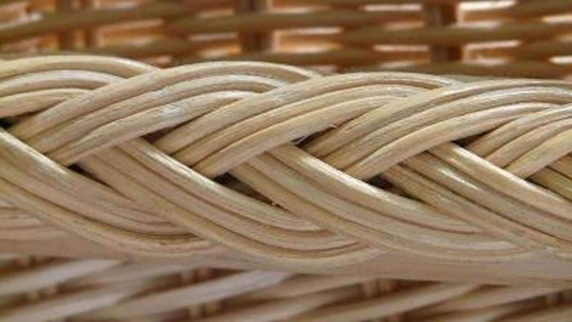 Want to learn willow weaving? Let's get you started