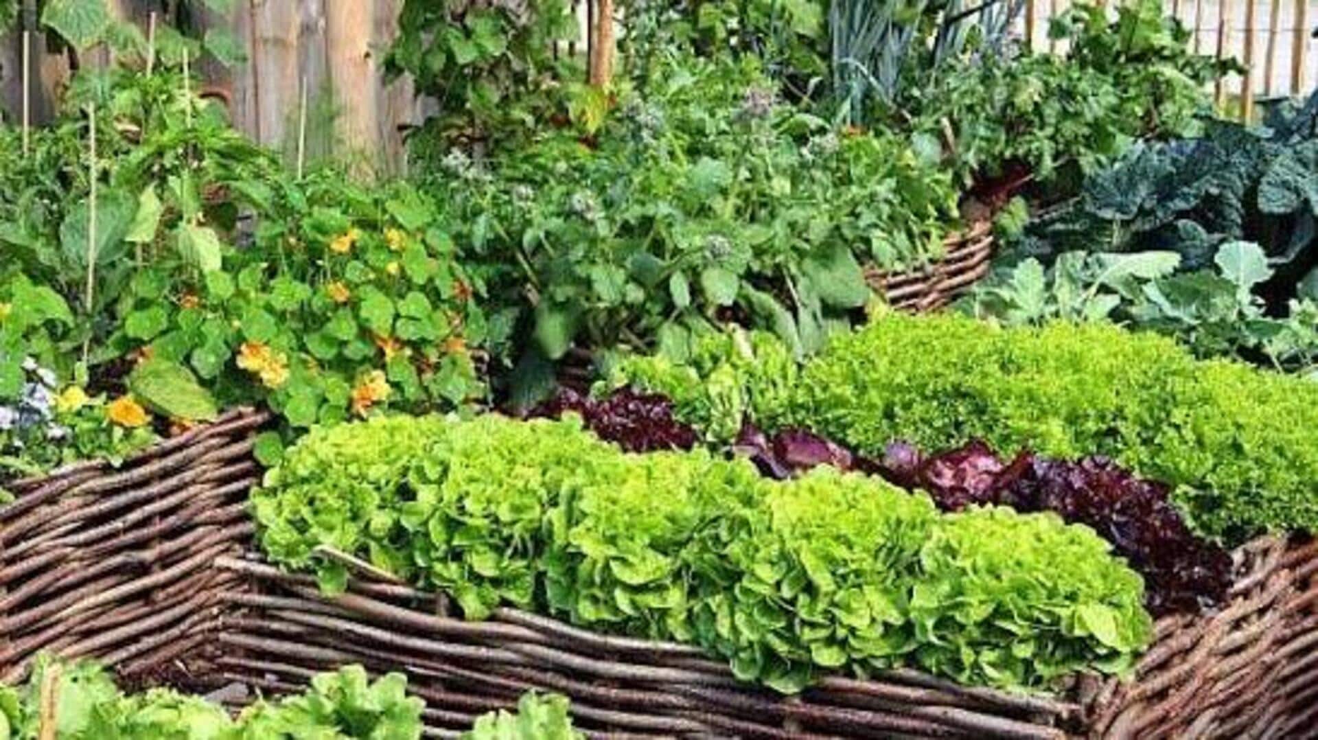 Gardening 101: 5 ways to pair vegetables and herbs