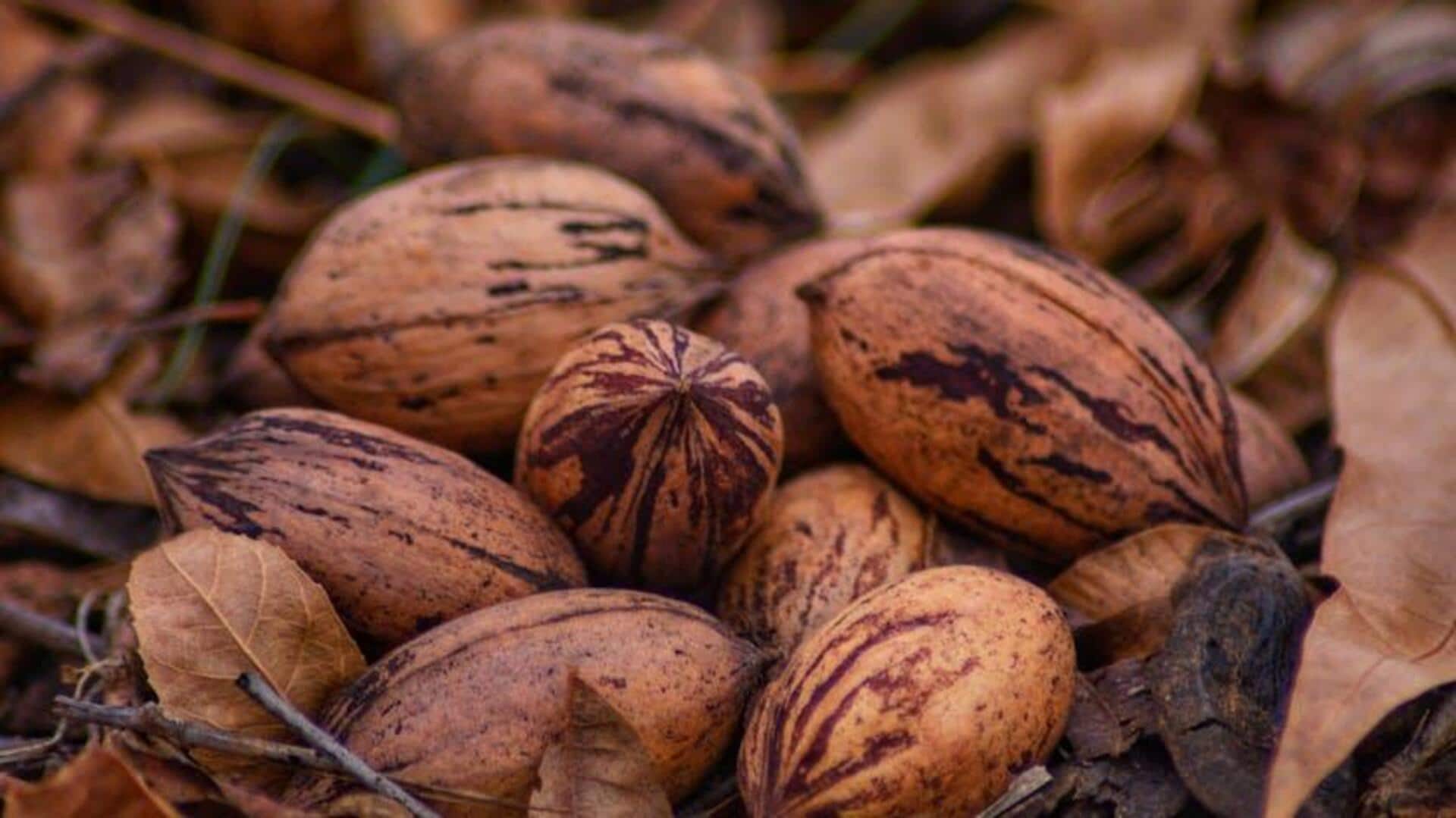 Pistachios v/s pecans: Comparing their nutrition