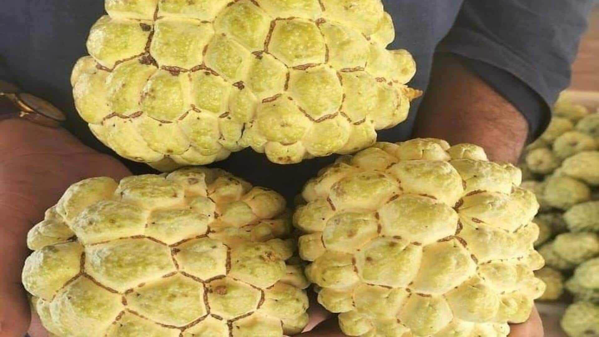 Jackfruit v/s custard apple: Which is better for you?