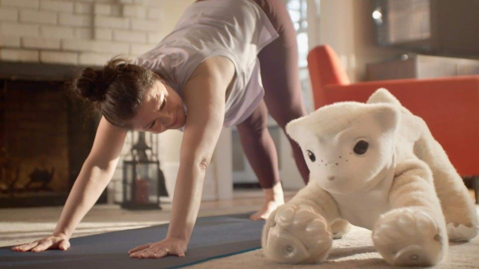 Roomba creator unveils AI robot designed for companionship