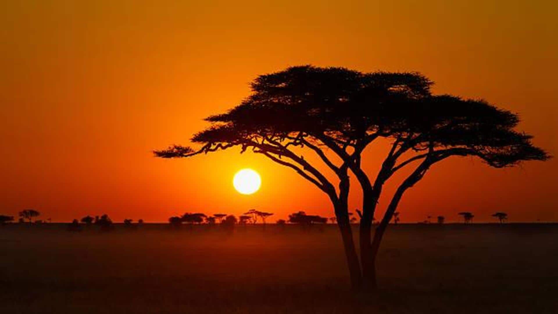 For photography lovers: Tips to capture savannah sunrise 