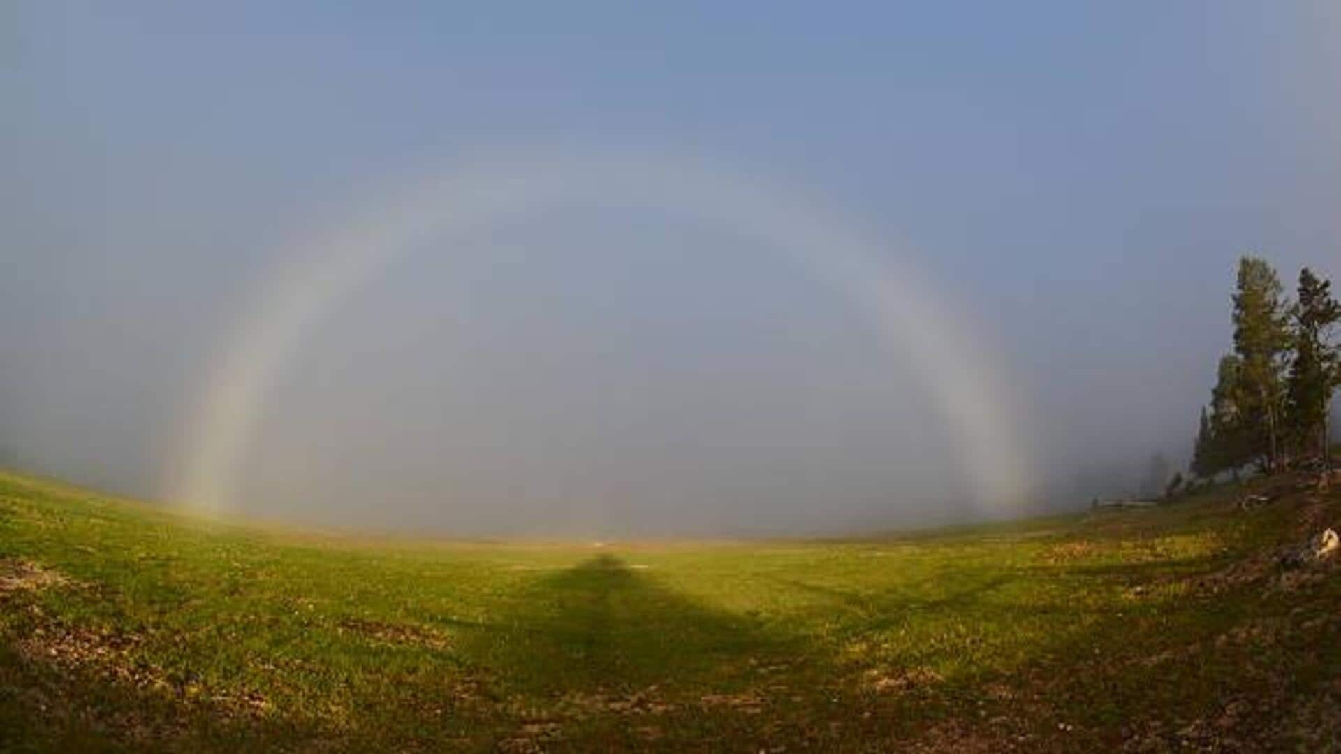 How to spot a fogbow: A guide for adventure travelers 