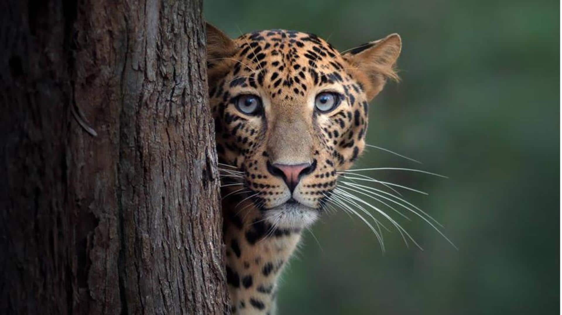 Stressed? Try nature photography