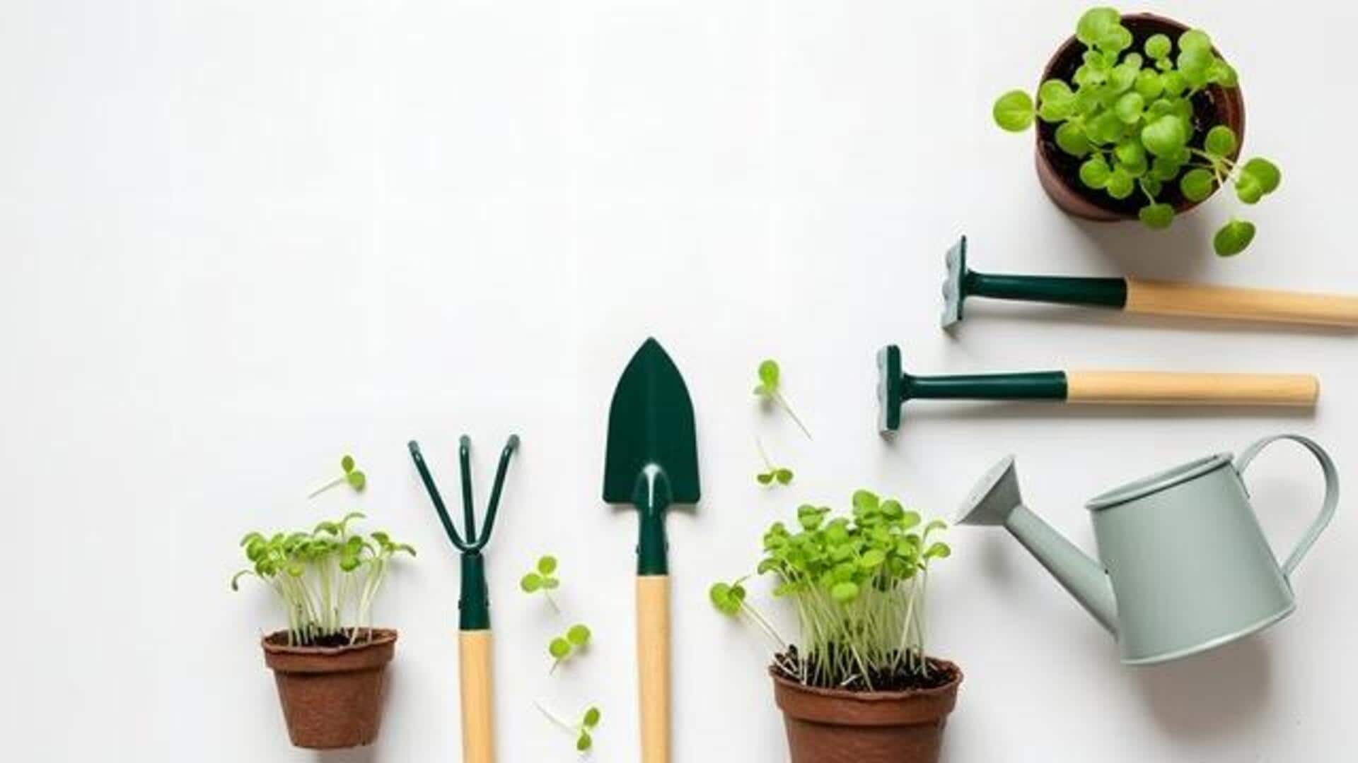 How to save on gardening tools