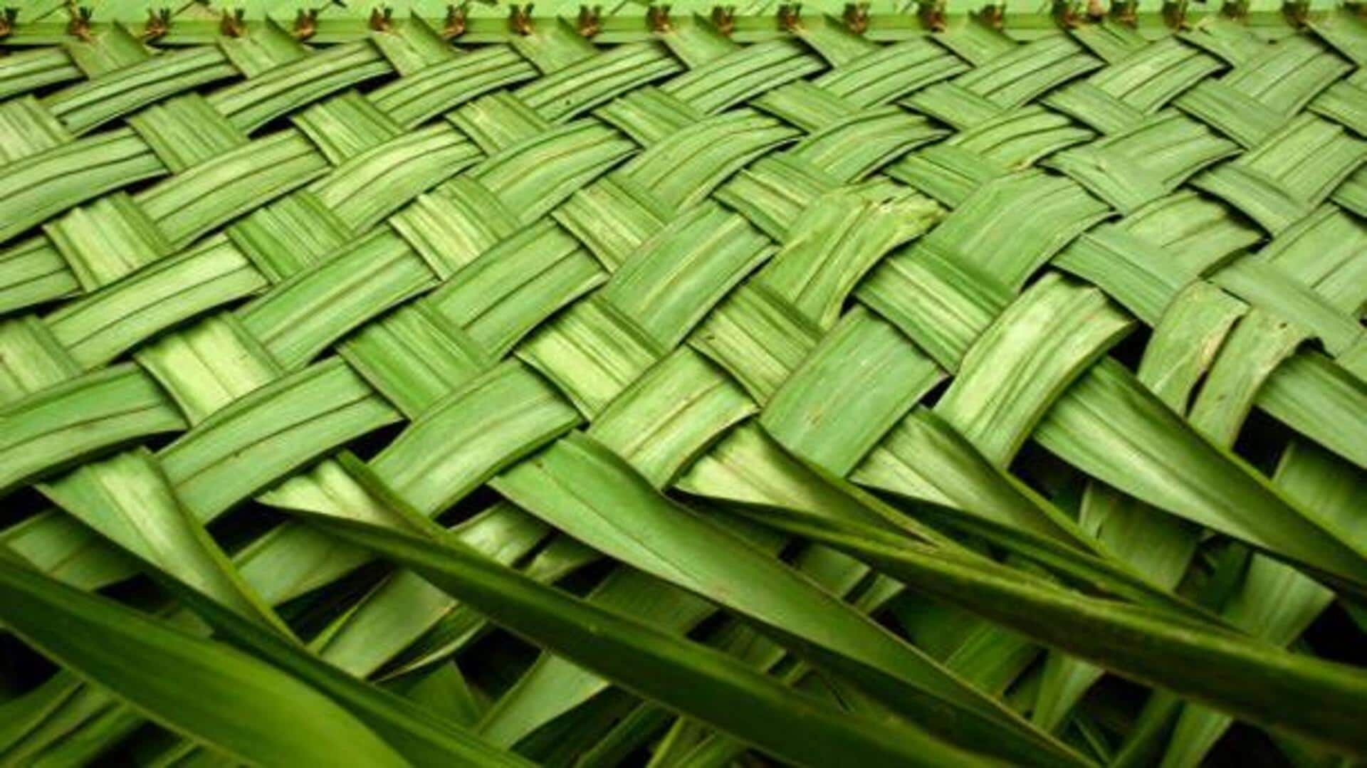 How modern artists are redefining palm leaf weaving