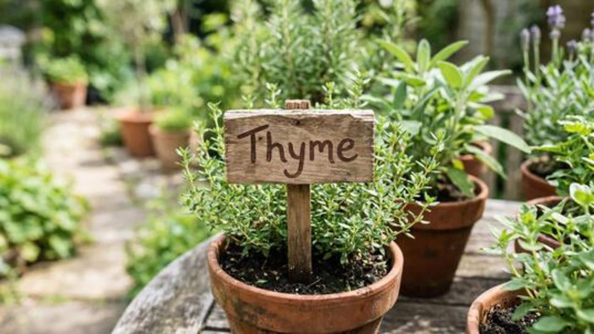 Growing a herb garden? Try these AI tools 