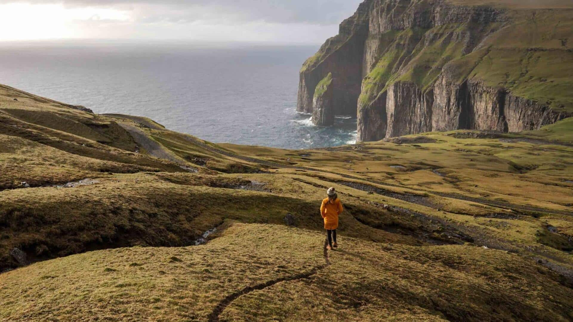 Faroe Islands puffin tours: Birdwatching bliss