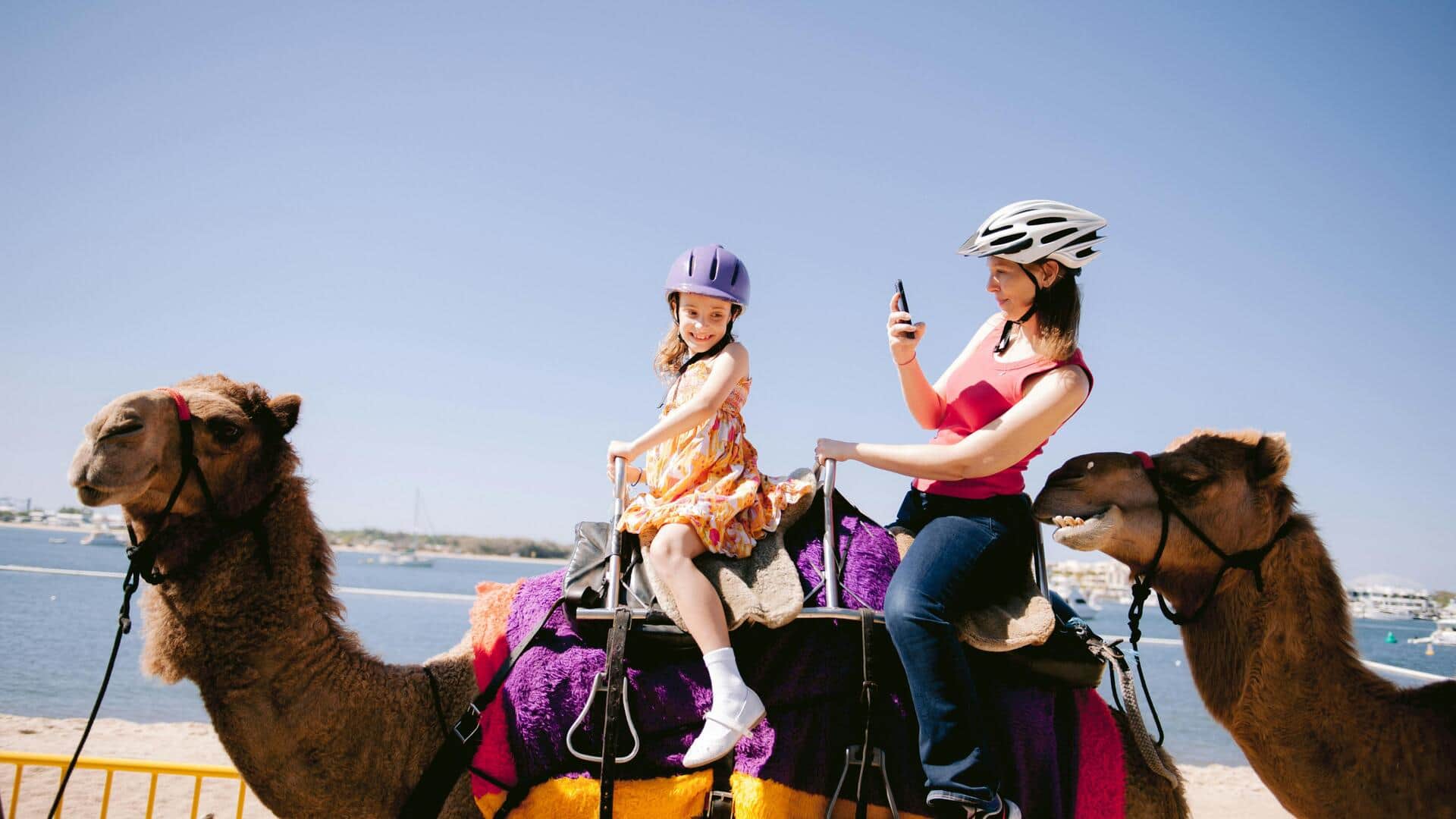 Experience Rajasthan like a local on a camel ride