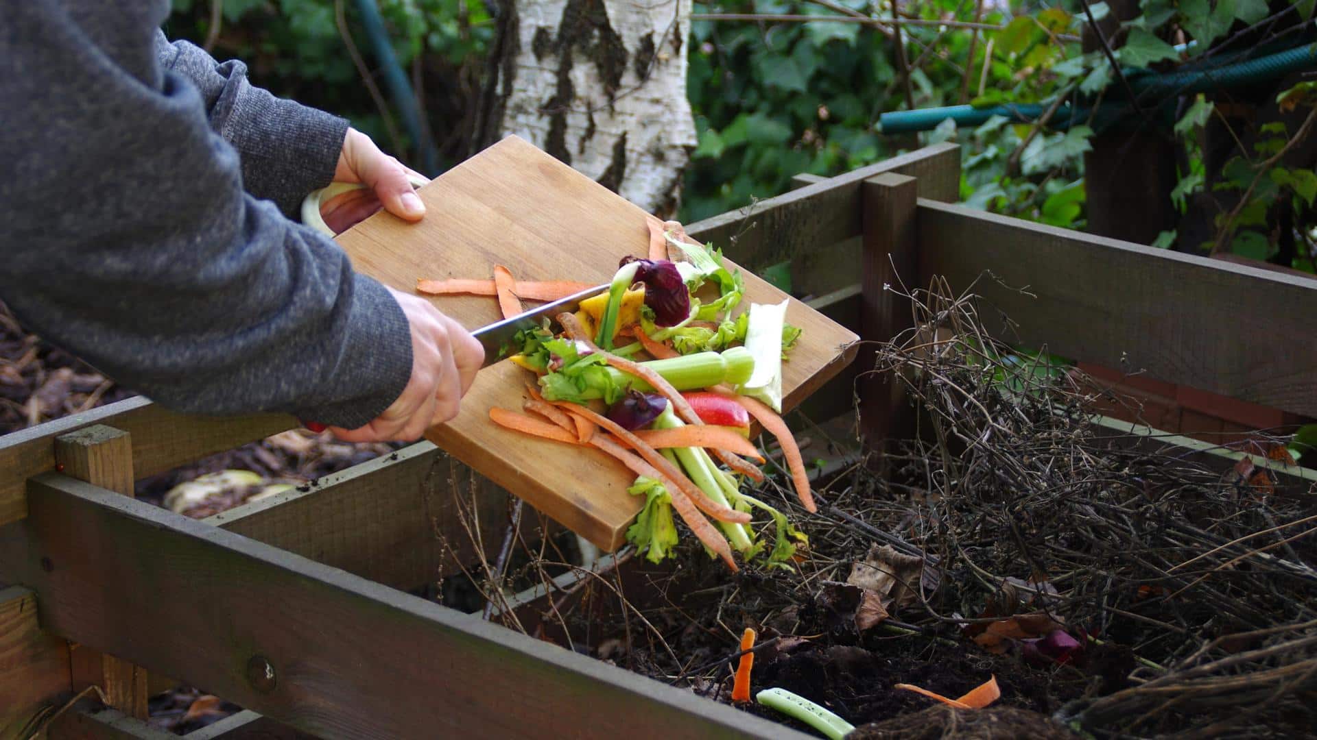 Here's how you can repurpose your food scraps