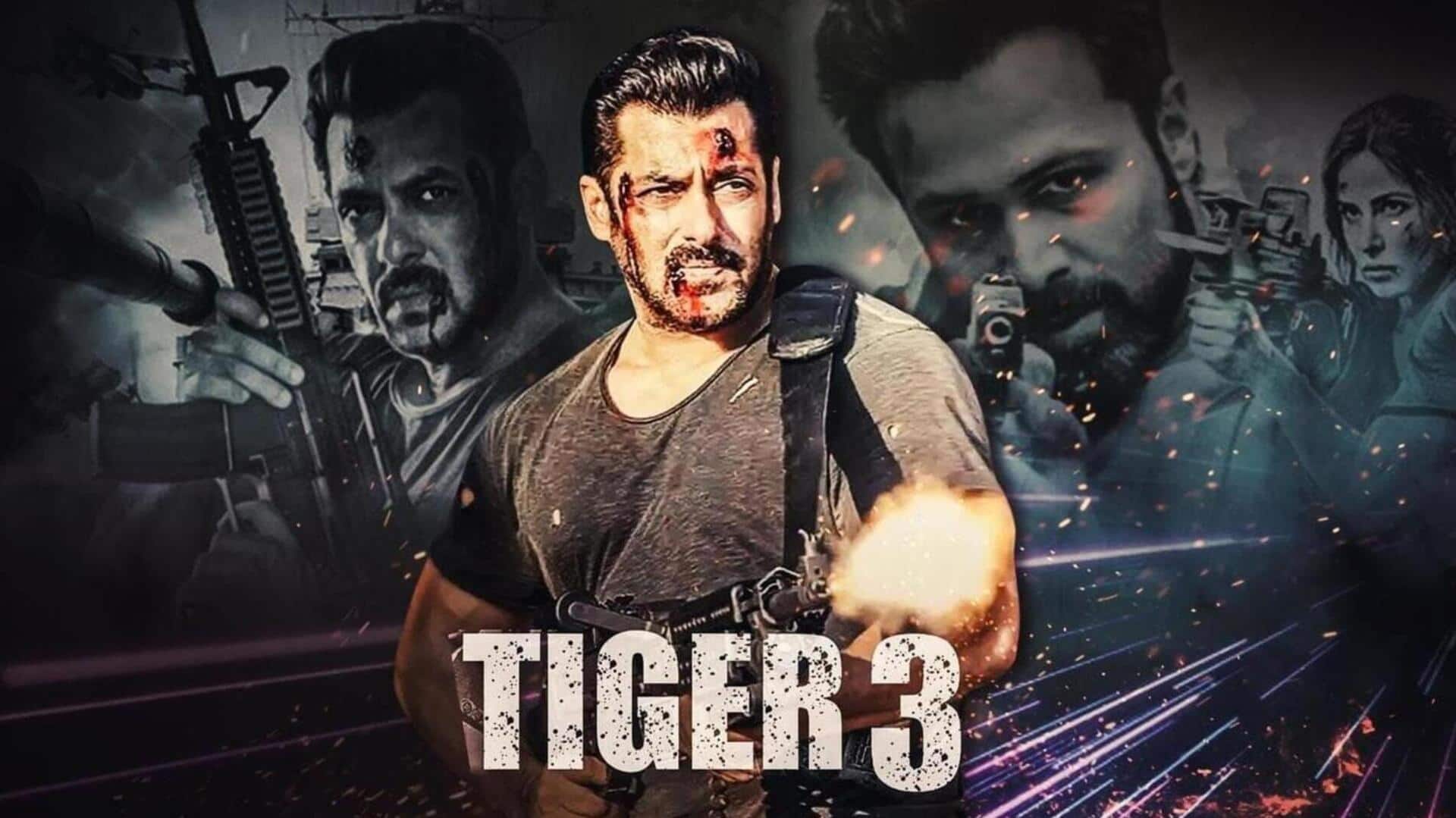 'Wait for 'Tiger 4': Salman Khan 'almost' confirms next film