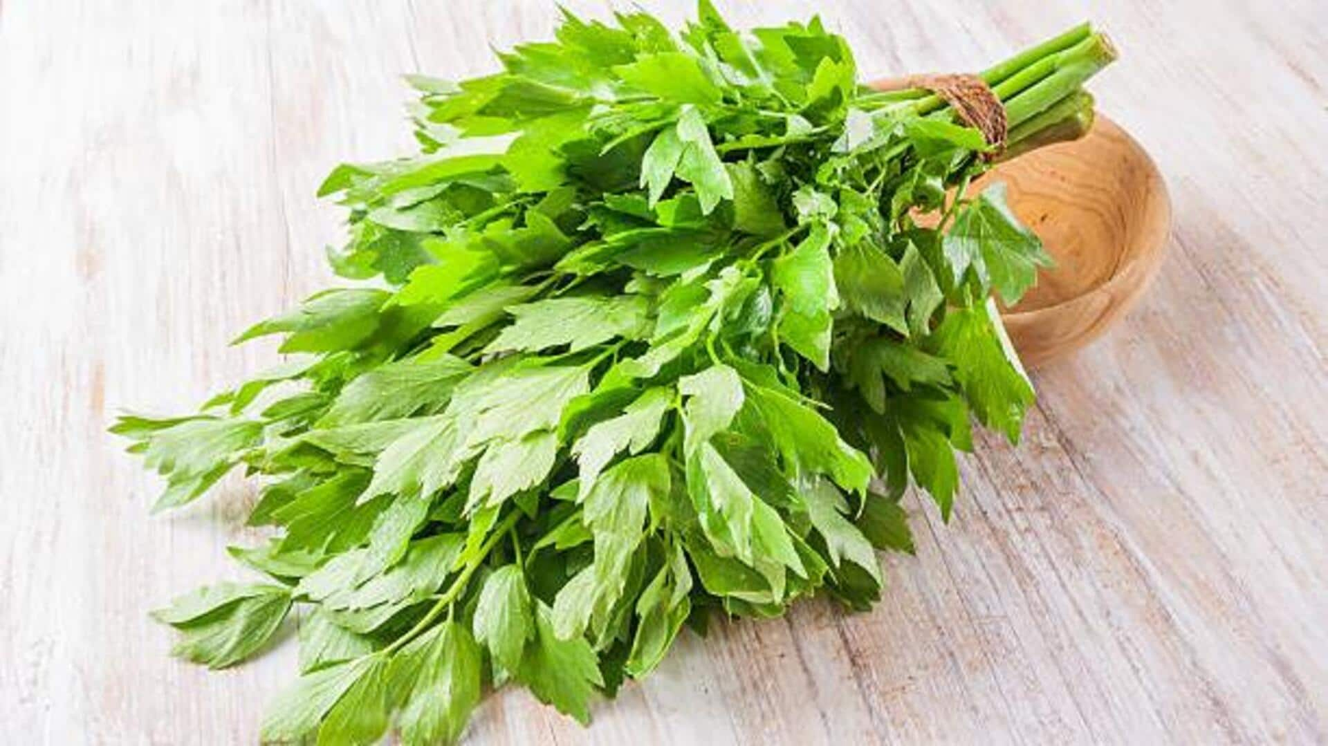 Lovage leaves: The flavorful herb you've never tried 