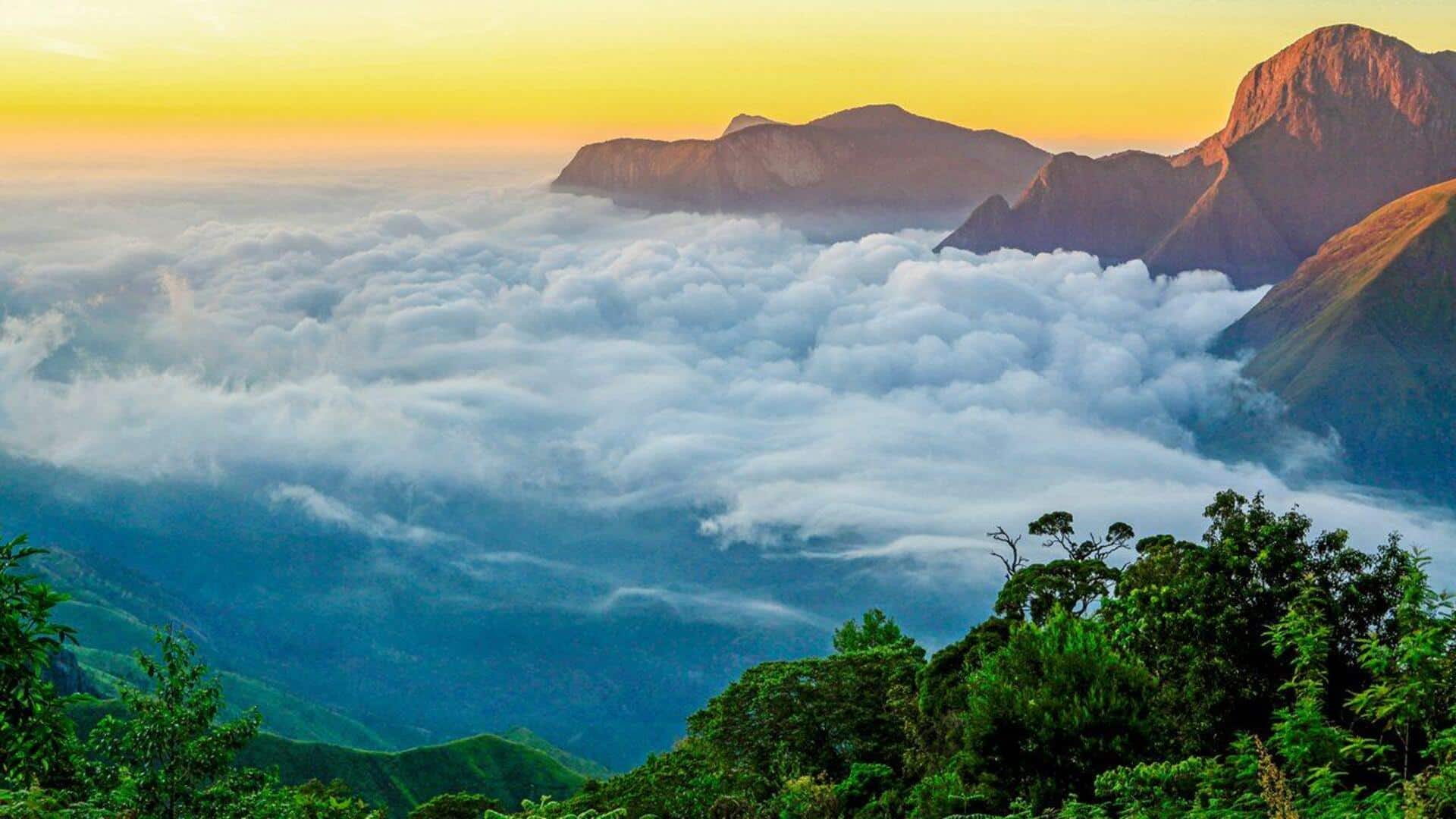 Things to do in Munnar Things to do in Munnar