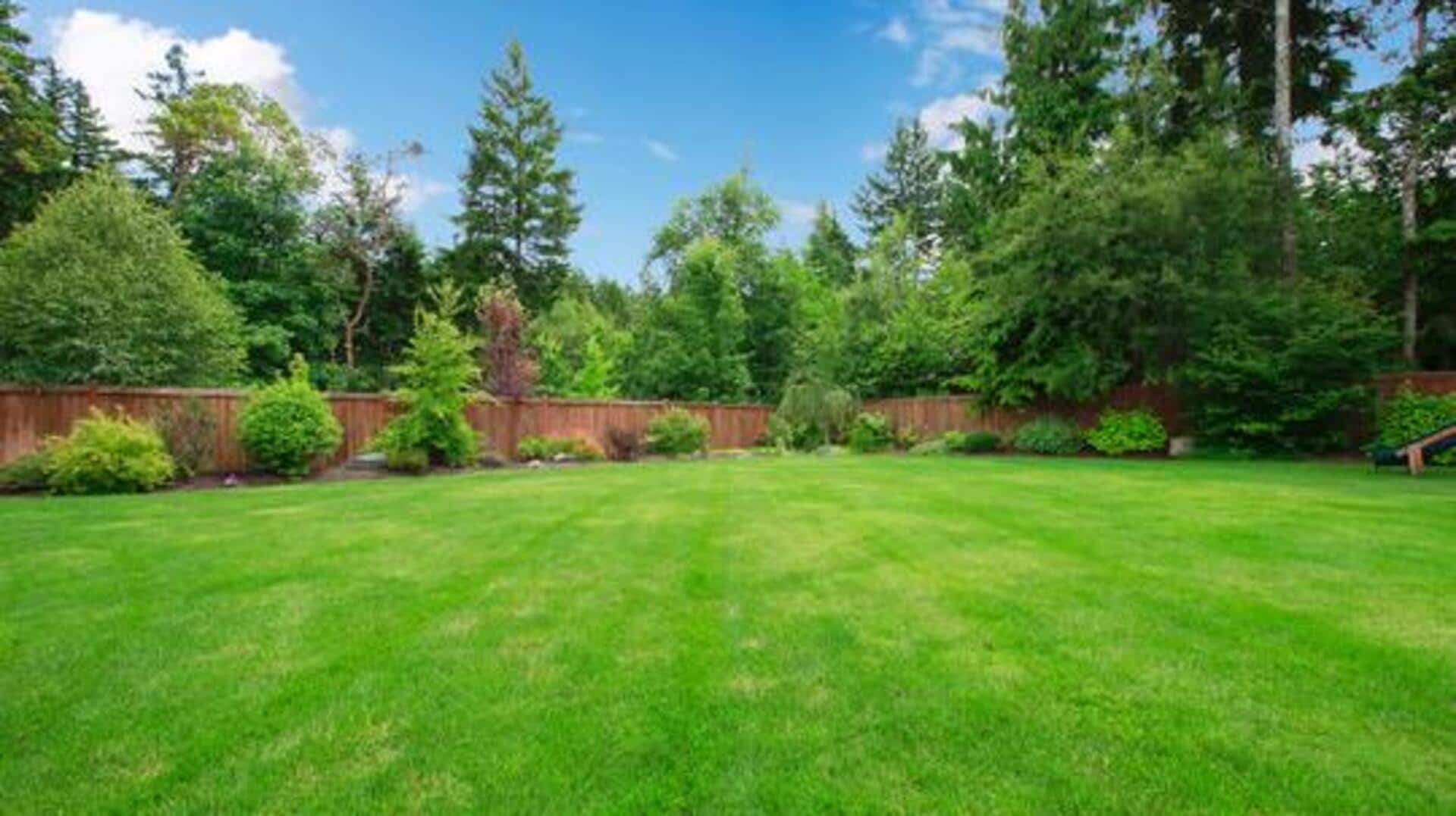 DIY: How to decorate your backyard DIY: How to decorate your backyard