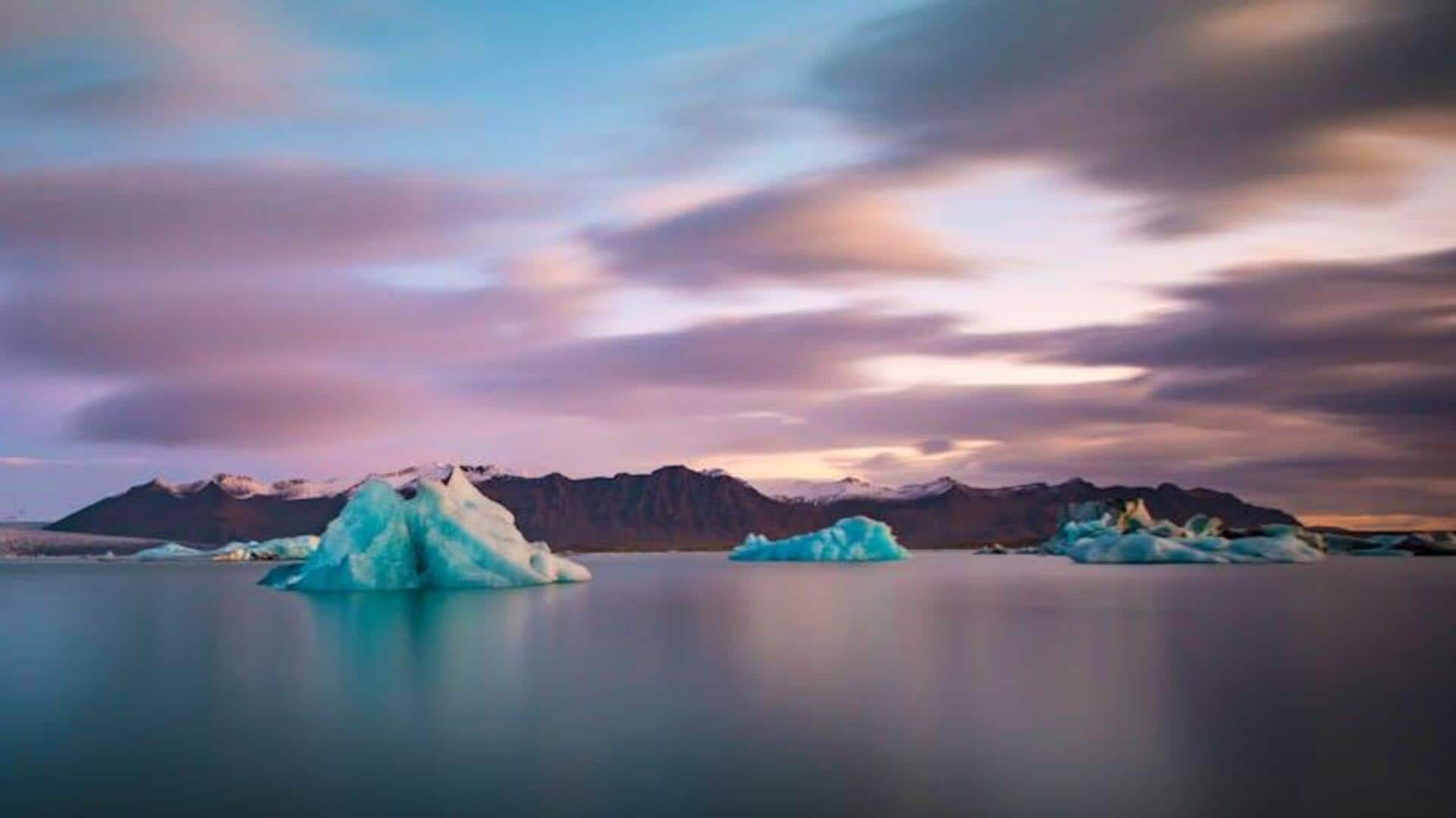 Unveiling Greenland's majestic wildlife and icebergs