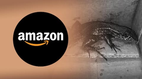 Colombian woman receives lizard instead of air fryer from Amazon