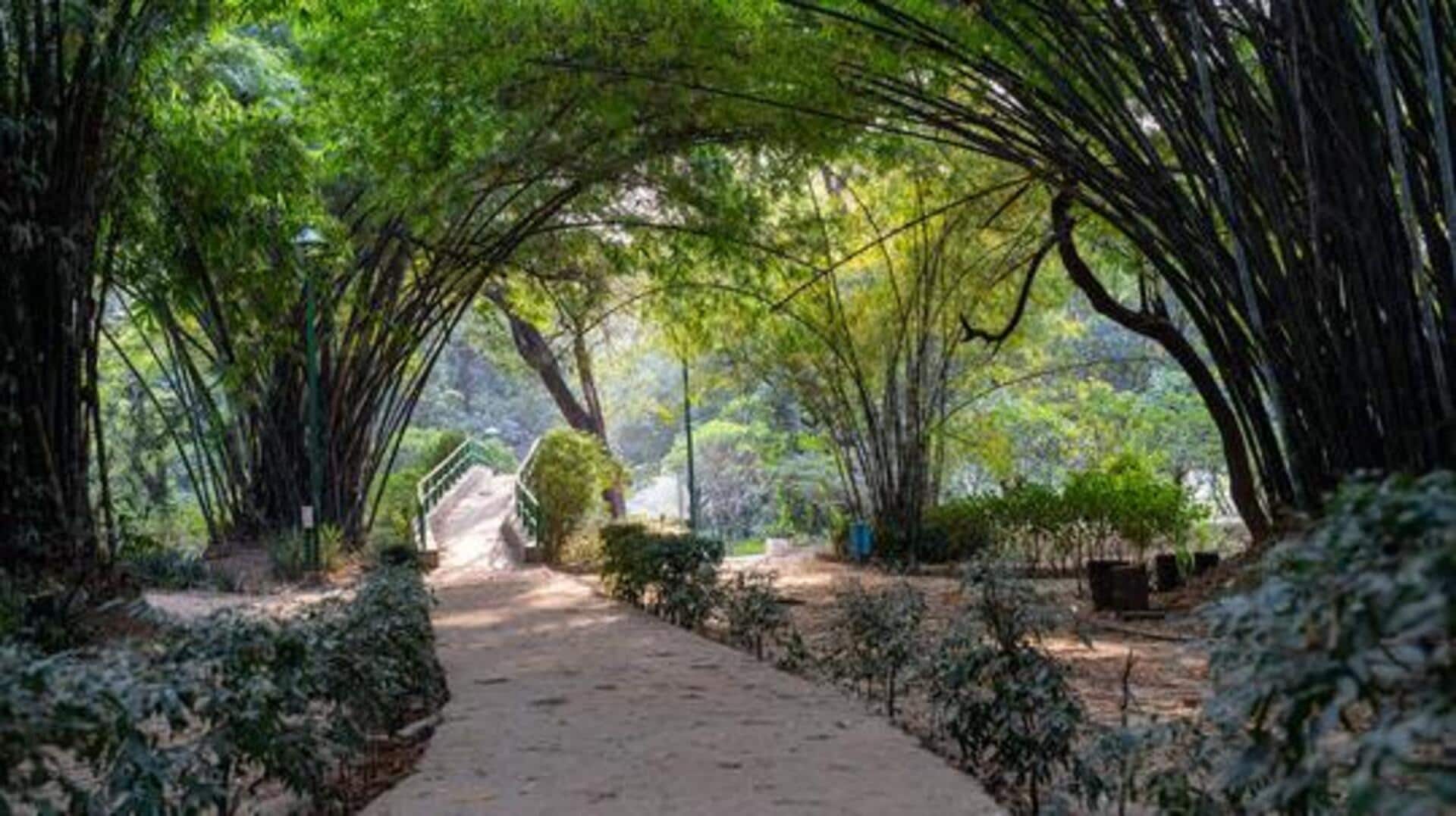 Top eco-friendly attractions in Delhi