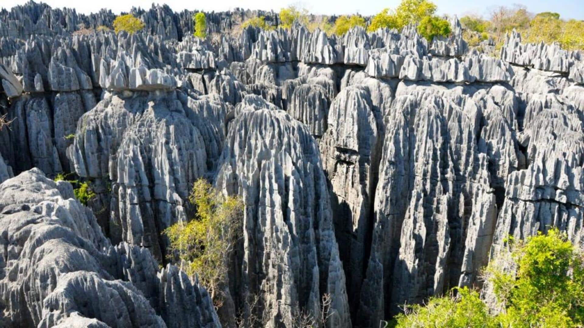 Madagascar's stone forests: A trekker's paradise Madagascar's stone forests: A trekker's paradise