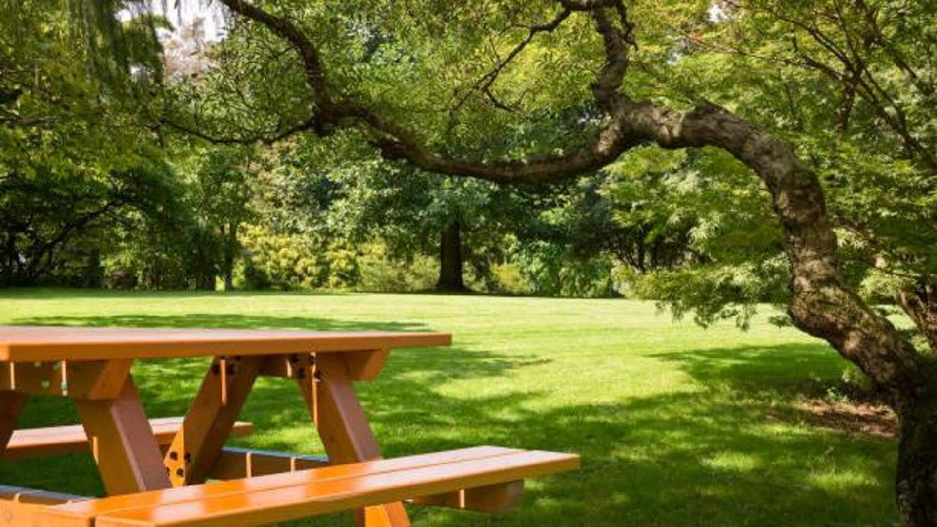5 must-visit picnic spots in Japan 5 must-visit picnic spots in Japan