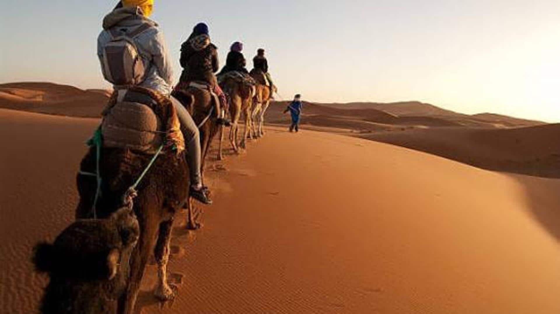 How to explore the Namib Desert on camelback 