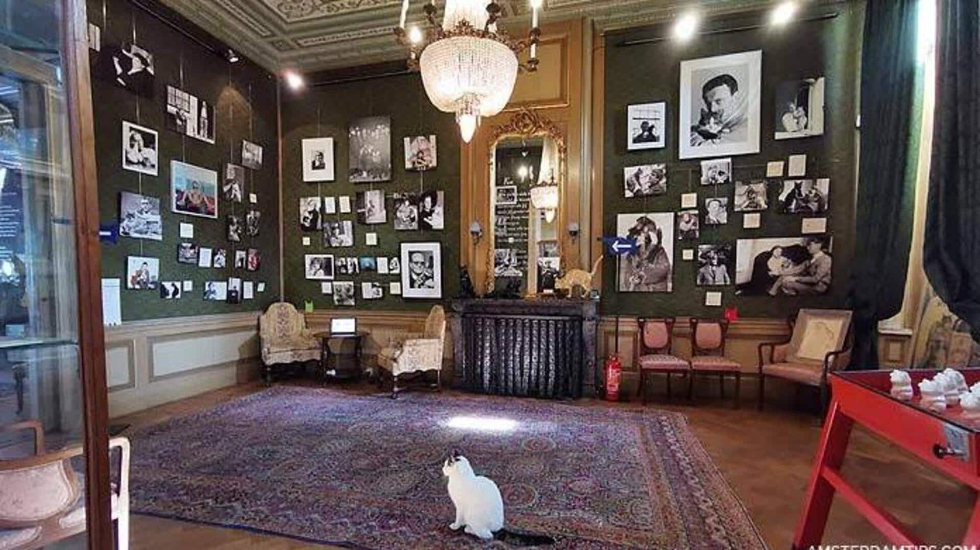 5 unique museums to visit in the Netherlands 