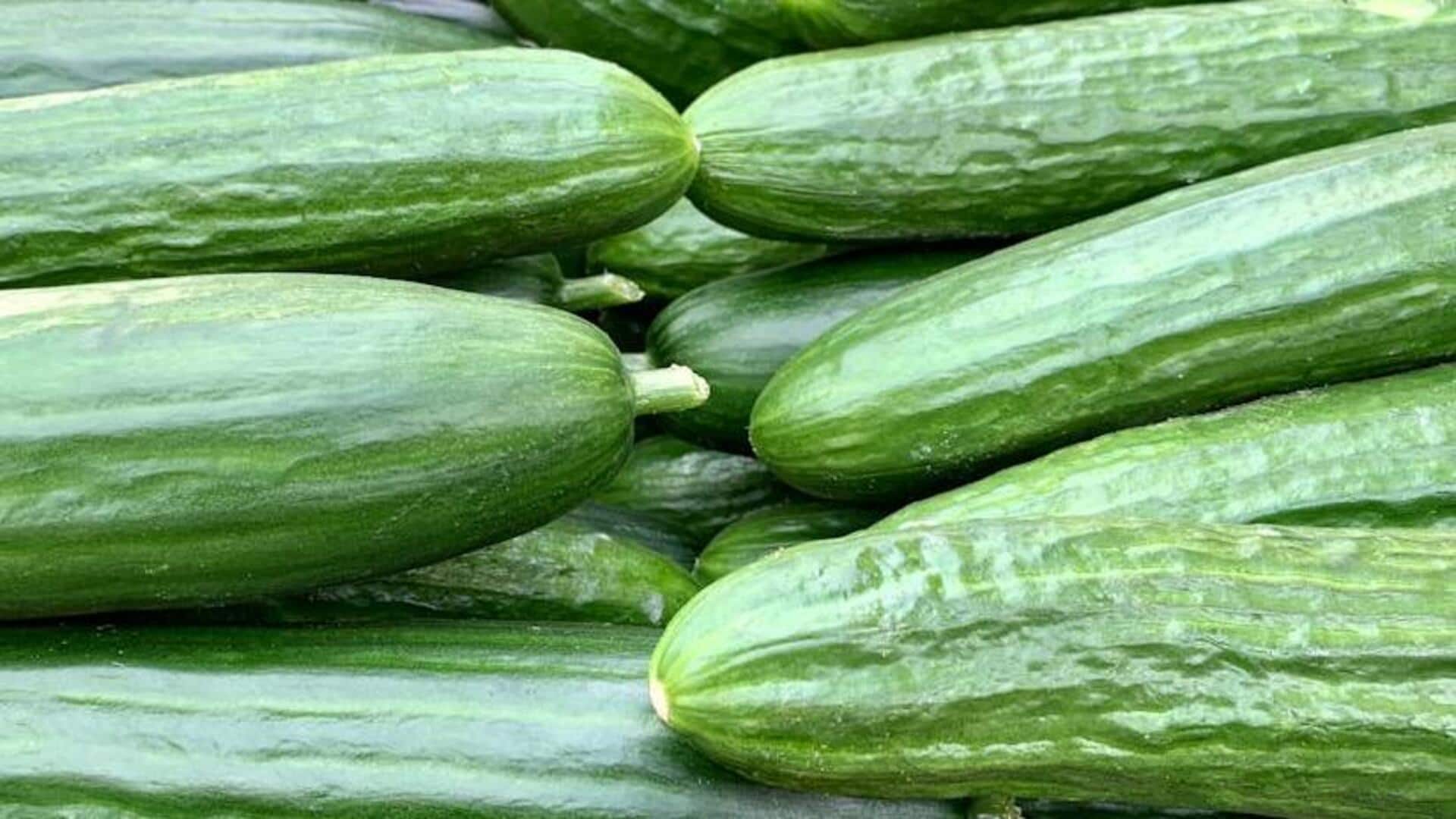 Cucumber v/s zucchini: Which is healthier? Cucumber v/s zucchini: Which is healthier?