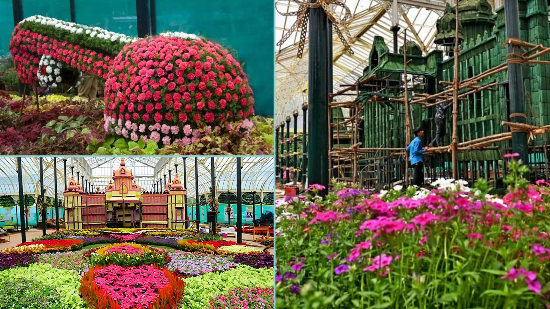 Bengaluru's Lalbagh to have its own miniature 'Western Ghats'