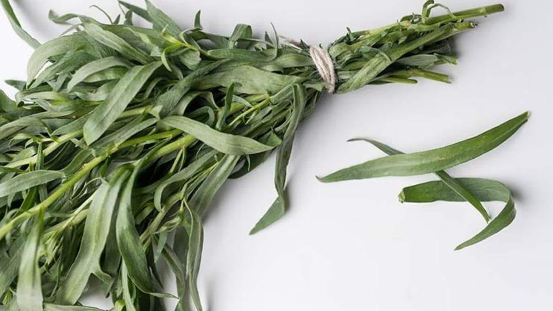 Exploring tarragon's sleep enhancing properties